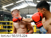 Muay Thai, The martial art of Thailand, Power punches into the face of the opponent. Able to defeat opponent by knockout. Стоковое фото, агентство Ingram Publishing / Фотобанк Лори
