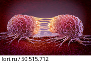 Metastasis Cancer cell and oncology or Malignant Cancerous Growth as growing dividing tumor cells and Malignancy disease spreading metastasized on an organ inside the human body as a 3D illustration. Стоковое фото, агентство Ingram Publishing / Фотобанк Лори