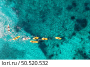 Aerial view of yellow kayaks in blue sea at summer sunny day. People on floating canoes in clear azure water. Sardinia island, Italy. Tropical landscape. Sup boards. Active travel. Top view from drone. Стоковое фото, агентство Ingram Publishing / Фотобанк Лори
