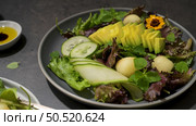 Fresh summer salad with cucumber, melon, avocado and fresh oregano served on ceramic plates. Стоковое фото, агентство Ingram Publishing / Фотобанк Лори