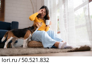 On weekends, a beagle and her owner sit in their living room, sipping coffee and gazing out the window. Стоковое фото, агентство Ingram Publishing / Фотобанк Лори