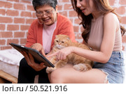 Persian cat in owner’s arms gaze warmly. Стоковое фото, агентство Ingram Publishing / Фотобанк Лори