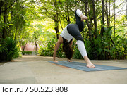 Young female in the garden there are wooden walkways and a tunnel of fresh green trees, with yoga activities for health. Стоковое фото, агентство Ingram Publishing / Фотобанк Лори