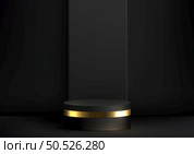 Luxury with our 3D realistic black and gold podium showcase. This vector illustrator mockup brings a modern interior concept to life, presenting your products in an elegant. Showcase your creativity and achieve unparalleled success. Стоковая иллюстрация, агентство Ingram Publishing / Фотобанк Лори