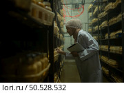 Young asian muslim female scientist doing research at a mushroom factory, examining mushroom leavening agent in a sterile and temperature-controlled room. Стоковое фото, агентство Ingram Publishing / Фотобанк Лори