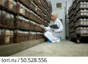 Young asian muslim female scientist doing research at a mushroom factory, examining mushroom leavening agent in a sterile and temperature-controlled room. Стоковое фото, агентство Ingram Publishing / Фотобанк Лори