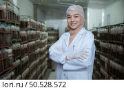 Portrait of young asian muslim female scientist doing research at a mushroom factory, examining mushroom leavening agent in a sterile and temperature-controlled room. Стоковое фото, агентство Ingram Publishing / Фотобанк Лори