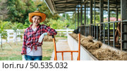 Portrait of Happy Asian farmer woman feeding cows in cowshed on dairy farm. Agriculture industry, farming, people, technology and animal husbandry concept. Стоковое фото, агентство Ingram Publishing / Фотобанк Лори