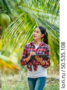 Portrait of Happy Asian young  farmer woman check quality of coconut in farm and using tablet computer to take orders online for customers. Agricultural and technology concepts. Стоковое фото, агентство Ingram Publishing / Фотобанк Лори