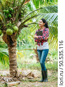Portrait of Happy Asian young  farmer woman check quality of coconut in farm and using tablet computer to take orders online for customers. Agricultural and technology concepts. Стоковое фото, агентство Ingram Publishing / Фотобанк Лори