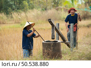 More than 70% of Thai farmers live in rural areas. Pounding rice with a wooden mortar, as shown in the picture, is a way of separating the rice grains from the husks. Стоковое фото, агентство Ingram Publishing / Фотобанк Лори