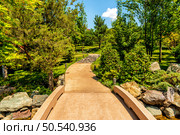 Alley with a bridge through a stream in a public park in the city of Krasnodar. Стоковое фото, фотограф Владимир Ушаров / Фотобанк Лори