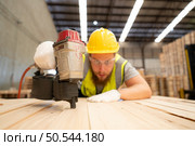 Young workers working in a woodworking factory, Using a nailing machine to assemble wooden pallets. Стоковое фото, агентство Ingram Publishing / Фотобанк Лори