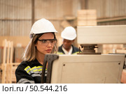 Both workers work in a woodworking factory, Working with wood sawing and cutting machines to produce wooden sheets for making pallets. Стоковое фото, агентство Ingram Publishing / Фотобанк Лори