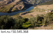 View of the terraced vineyards in the Douro Valley and river near the village of Pinhao, Portugal. Concept for travel in Portugal and most beautiful places in Portugal. Стоковое фото, агентство Ingram Publishing / Фотобанк Лори