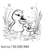 Duck and duckling on the lake. black and white vector illustration. Стоковая иллюстрация, агентство Ingram Publishing / Фотобанк Лори
