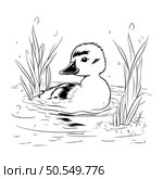 Duck swimming in the lake. Black and white vector illustration. Стоковая иллюстрация, агентство Ingram Publishing / Фотобанк Лори