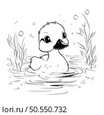 Duckling swimming in the lake. Black and white vector illustration. Стоковая иллюстрация, агентство Ingram Publishing / Фотобанк Лори
