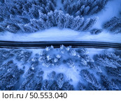 Aerial view of mountain road in fairy forest in snow in winter in blue hour. Top view from drone of highway, snowy pine trees at dusk. Beautiful rural road in woods in twilight. Travel in Slovenia. Стоковое фото, агентство Ingram Publishing / Фотобанк Лори