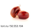 Chestnuts with shell isolated on white background. Стоковое фото, агентство Ingram Publishing / Фотобанк Лори