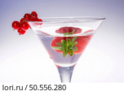 Tropical summer cocktail in a martini glass . Стоковое фото, агентство Ingram Publishing / Фотобанк Лори