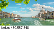 Grand Canal and Basilica Santa Maria della Salute, Venice, Italy. Стоковое фото, агентство Ingram Publishing / Фотобанк Лори