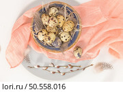 Quail eggs in a ceramic bowl with a peach fuzz pink colored scarf and bird feathers. Wooden table painted white. Background with elements suggestive of the Easter season. Стоковое фото, агентство Ingram Publishing / Фотобанк Лори