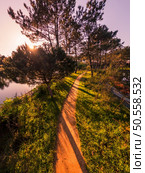 Scenic view of Bucaquinho Natural Park, Ovar, north of Portugal. Стоковое фото, агентство Ingram Publishing / Фотобанк Лори