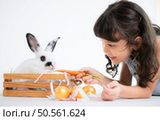 Smiling little girl and with their beloved fluffy rabbit, showcasing the beauty of friendship between humans and animals. Стоковое фото, агентство Ingram Publishing / Фотобанк Лори