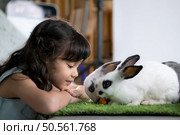 Smiling little girl and with their beloved fluffy rabbit, showcasing the beauty of friendship between humans and animals. Стоковое фото, агентство Ingram Publishing / Фотобанк Лори