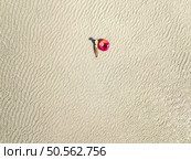 Aerial view of lying sporty slim woman with swimming ring, sandy beach in low tide at sunrise in summer in Zanzibar island. Top view of beautiful girl, sandbank, ocean, clear water. Tropical scenery. Стоковое фото, агентство Ingram Publishing / Фотобанк Лори