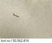 Aerial view of lying sporty slim woman, clear water and sandy beach in low tide at sunrise in summer in Zanzibar island. Top drone view of beautiful girl, sandbank, sea, clear water. Tropical. Travel. Стоковое фото, агентство Ingram Publishing / Фотобанк Лори