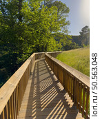 A sunlit wooden bridge, nestled in lush greenery, casts long, intriguing shadows. Guarda - Portugal. Стоковое фото, агентство Ingram Publishing / Фотобанк Лори