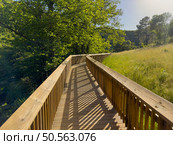 A serene walkway in nature’s lap, the wooden footbridge basks in the sunlight, casting long shadows amidst lush greenery. Guarda - Portugal. Стоковое фото, агентство Ingram Publishing / Фотобанк Лори