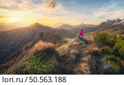 Young woman on the stone on mountain peak and beautiful mountains at colorful sunset in autumn. Dolomites, Italy. Sporty girl, mountain ridges, orange grass, green trees, golden sun in fall. Hiking. Стоковое фото, агентство Ingram Publishing / Фотобанк Лори