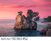 Famous rock with green trees on top and blue sea in Brela, Croatia at sunset in summer. Colorful landscape with sea, cliff and pink sky at dusk. Travel. Nature background. Sea coast and calm water. Стоковое фото, агентство Ingram Publishing / Фотобанк Лори