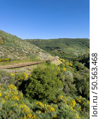 A wooden path meanders through a sunlit hillside, adorned with blooming wildflowers. Guarda - Portugal. Стоковое фото, агентство Ingram Publishing / Фотобанк Лори