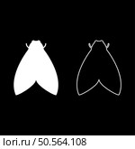 Moth butterfly clothing set icon white color vector illustration image simple solid fill outline contour line thin flat style. Moth butterfly clothing set icon white color vector illustration image solid fill outline contour line thin flat style. Стоковая иллюстрация, агентство Ingram Publishing / Фотобанк Лори