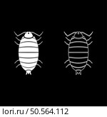 Roly poly woodlouse porcellio scaber woodruff set icon white color vector illustration image simple solid fill outline contour line thin flat style. Roly poly woodlouse porcellio scaber woodruff set icon white color vector illustration image solid fill outline contour line thin flat style. Стоковая иллюстрация, агентство Ingram Publishing / Фотобанк Лори