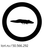 Axolotl ambystoma mexicanum view side icon in circle round black color vector illustration image solid outline style simple. Axolotl ambystoma mexicanum view side icon in circle round black color vector illustration image solid outline style. Стоковая иллюстрация, агентство Ingram Publishing / Фотобанк Лори