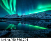 Aurora borealis over the snowy mountains, frozen sea, reflection in water at winter night. Lofoten, Norway. Northern lights and snowy rocks. Landscape with polar lights, starry sky and fjord. Scenery. Стоковое фото, агентство Ingram Publishing / Фотобанк Лори