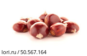 Chestnuts with shell isolated on white background. Стоковое фото, агентство Ingram Publishing / Фотобанк Лори
