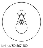Dinosaur cute dino baby pretty hatch from egg cracked eggshell icon in circle round black color vector illustration image outline contour line thin style simple. Dinosaur cute dino baby pretty hatch from egg cracked eggshell icon in circle round black color vector illustration image outline contour line thin style. Стоковая иллюстрация, агентство Ingram Publishing / Фотобанк Лори