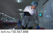 Raw material quality inspectors evaluate and inspect fish pieces before they enter the canned fish production process. Стоковое фото, агентство Ingram Publishing / Фотобанк Лори