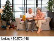 Grandfather and grandmother are sitting and waiting to meet their children and grandchildren who will join them for a meal during the Christmas holiday at home. Стоковое фото, агентство Ingram Publishing / Фотобанк Лори