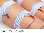 The procedure of myostimulation on the legs and buttocks of a woman in a beauty salon. Caring for the body, reducing excess weight. Стоковое фото, агентство Ingram Publishing / Фотобанк Лори