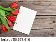 Red tulips and Valentine’s day greeting card on wooden table. View with copy space. Стоковое фото, агентство Ingram Publishing / Фотобанк Лори