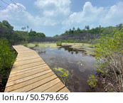 Maldives paradise scenery. Tropical aerial landscape, seascape with long jetty, water villas with amazing sea and lagoon beach, tropical nature. Exotic tourism destination banner, summer vacation. Стоковое фото, агентство Ingram Publishing / Фотобанк Лори