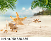 Sandy tropical beach with shells, bottle with message and starfish. Sandy tropical beach with bottle and starfish. Стоковое фото, агентство Ingram Publishing / Фотобанк Лори
