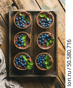 Homemade Tiramisu dessert in glasses with cinnamon sticks, mint leaves and fresh blueberries served in wooden tray over rustic wooden background, top view, vertical composition. Homemade Tiramisu dessert with cinnamon and berries in wooden tray. Стоковое фото, агентство Ingram Publishing / Фотобанк Лори
